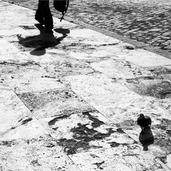 Pigeon walking on sidewalk 1