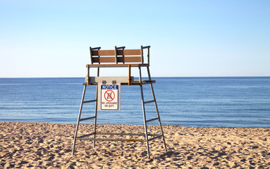 Lifeguard