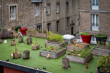 beautiful garden on the top of a roof in Saint Malo
