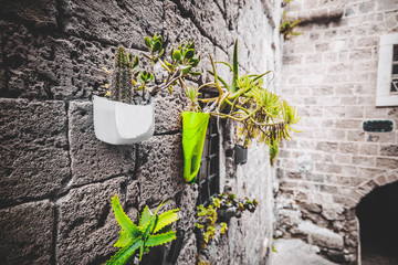  The old city of Jaffa, Israel