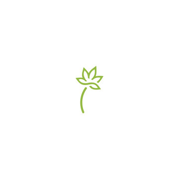 Canabis Leaf Design Logo Concept