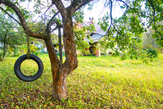 Tire swing hanging from a tree in a summer garden. Concept photo of happy childhood, nostalgia, memory, native home.