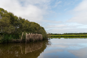 wetland in the natural park of saint lyphard