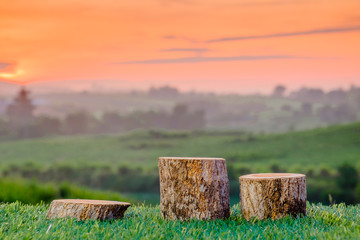 Empty log   winners podium on green grass with beautiful sunrise as background. Concept of...