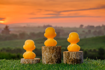Three ranking winner yellow ducks proudly standing on the winning podium with beautiful sunrise as background. Concept of competition .
