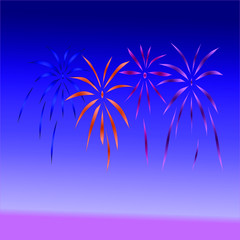 bright fireworks in the night sky