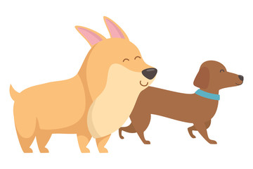 Dogs cartoons design vector illustrator