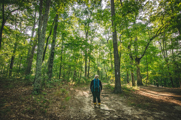 Fototapeta na wymiar woman walking in the forest