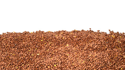 Lentils isolated on a white background.