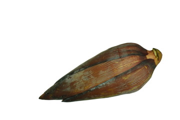 banana blossom raw food on white background