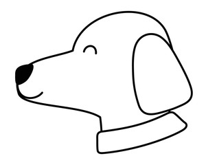 Dog cartoon design vector illustrator