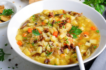 Vegetable Mushroom Soup on Bright Background