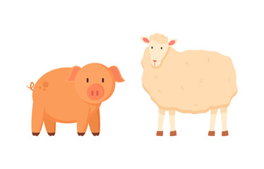 Fluffy sheep and porky pig vector, isolated domestic animals on farm, farming and breeding of mammals for agriculture, funny characters standing together