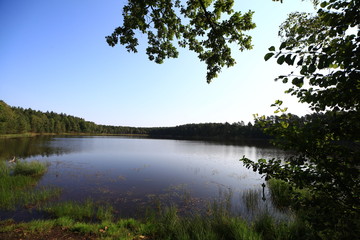 Jezioro kaszuby mazury w lesie las wiosna