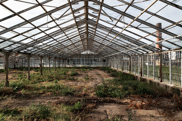 Fototapeta na wymiar abandoned greenhouse with plants