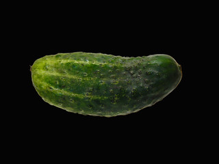 cucumber isolated on white background