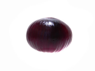 onion isolated on white background
