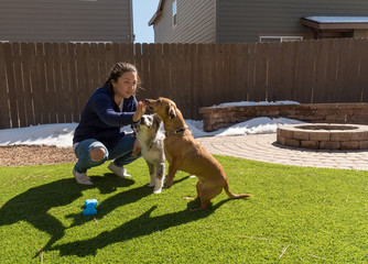 Woman feeding a chiweenie a treat