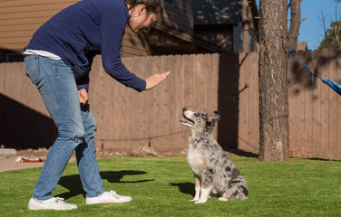 hispanic woman teaching puppy to stay