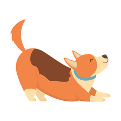 Dog cartoon design vector illustrator