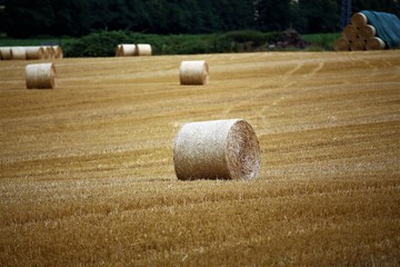 bales of hay