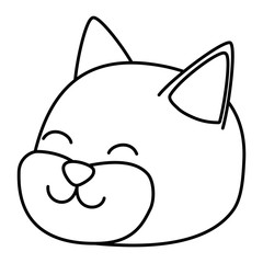 Cat cartoon design vector illustrator
