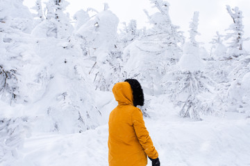 Fototapeta na wymiar Young woman of the frozen forest with snow monster in winter, Japan