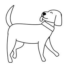 Dog cartoon design vector illustrator
