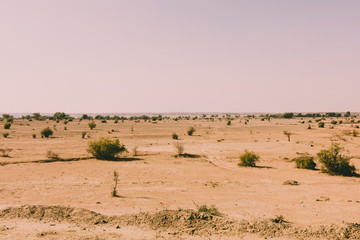 Fototapeta na wymiar thar desert landscape, view of thar zone, in the rajasthan