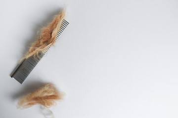 Pet hair grooming, fur comb and hairballs on white 