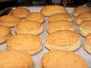 tasty homemade hot Italian cookies fresh from the oven, ready to be enjoyed for breakfast