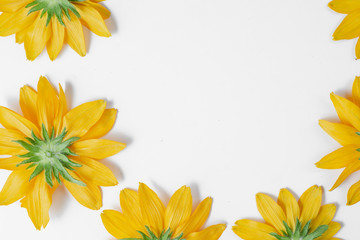 Flowers composition. Beautiful yellow flowers represented on white background. Summer and autumn concept. Flat lay, top view, copy space