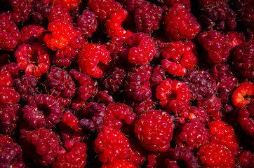 Raspberry ripe tasty background