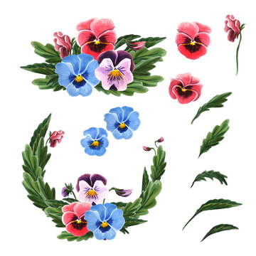 Single flowers, leaves, garland and  a bouquet of pansies isolated on a white background.