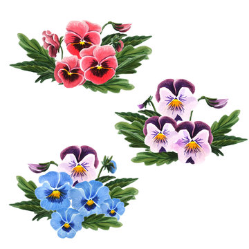 Set of bouquet of pansies isolated on a white background.