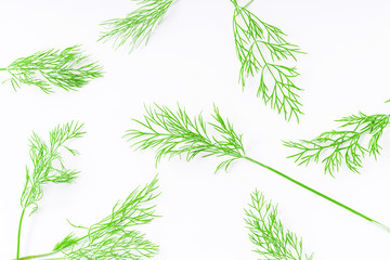 Pattern with fresh dill isolated on white background