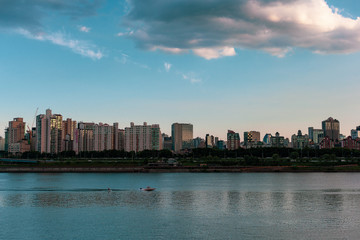 Obraz premium Surfing in the city