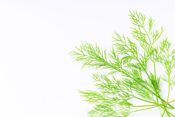 Fototapeta na wymiar Fresh dill isolated on white background with copy space