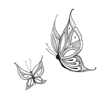 Butterflies. Hand drawn two butterflies isolated on white. Sketch style illustration.