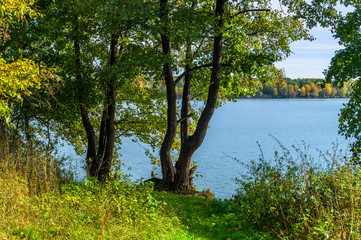 Obraz premium Autumn landscape on the Lake Biserovo, Moscow region, Russia.