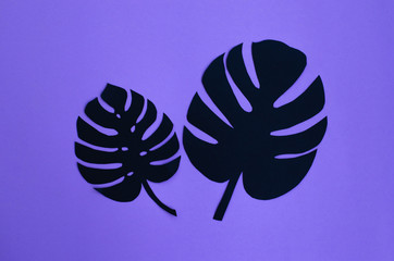Background from tropical leaves of paper on a neon background.