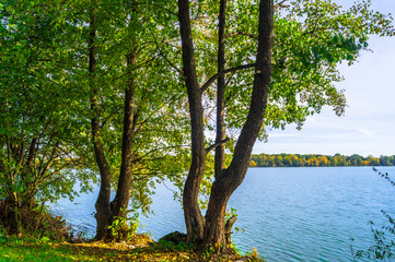 Obraz premium Autumn landscape on the Lake Biserovo, Moscow region, Russia.