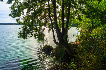 Obraz premium Autumn landscape on the Lake Biserovo, Moscow region, Russia.