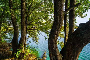 Autumn landscape on the Lake Biserovo, Moscow region, Russia.