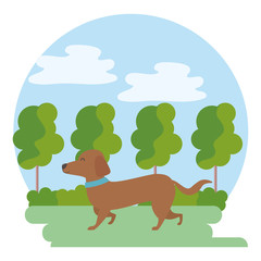 Obraz na płótnie Canvas Dog cartoon design vector illustrator