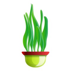 Long leaf plant pot icon. Cartoon of long leaf plant pot vector icon for web design isolated on white background