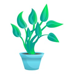 Botanical plant pot icon. Cartoon of botanical plant pot vector icon for web design isolated on white background