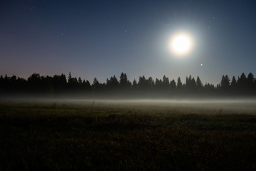 Naklejka na ściany i meble Moonlight landscape. Field and forest silhouette under night sky with full moon and stars. Beauty nature background.