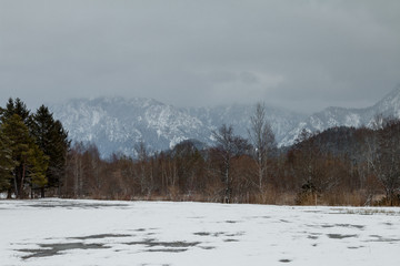 winter landscape with trees and snow