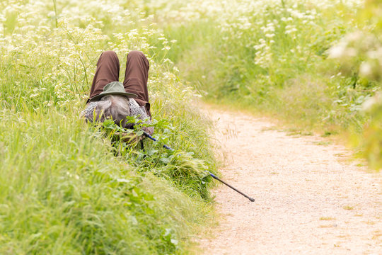 Person with a hat on face and a trekking stick on a side resting on a bench in a country park in summer